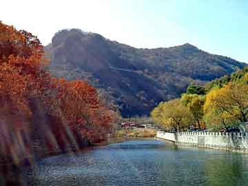 新澳天天开奖资料大全旅游团，墨晶价格